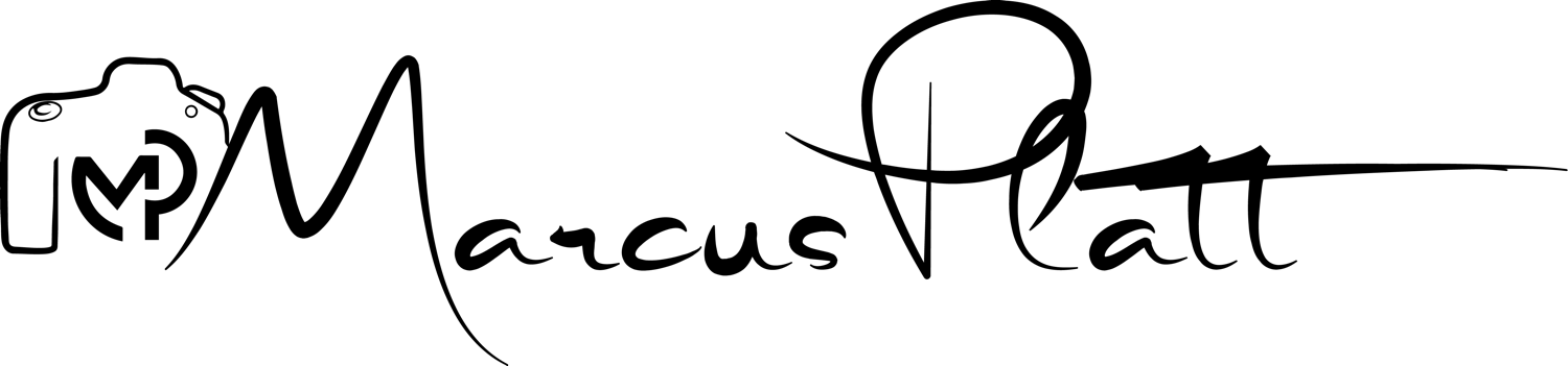 Photography Logo Png Hd Clipart (1500x351), Png Download