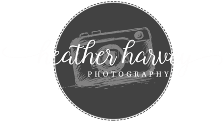 Photography Logo Png Hd Clipart (799x571), Png Download