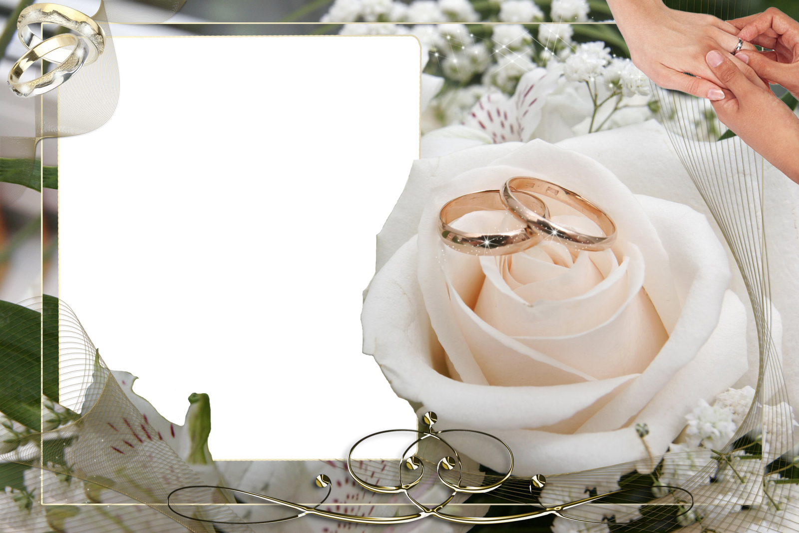 Frames Png - Wedding Rings On Flowers Clipart (1600x1067), Png Download