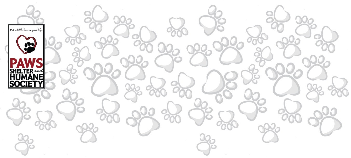 Line Art Clipart (1352x610), Png Download