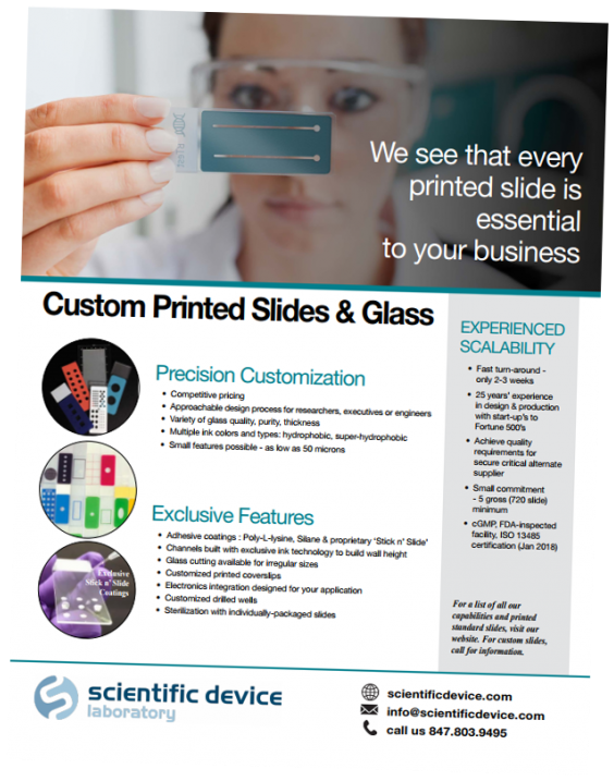 Cover 21 Nov 2017 Clipart (600x733), Png Download