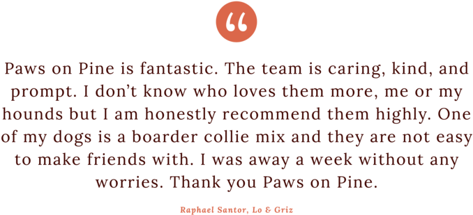 Quotes Clipart (1000x400), Png Download