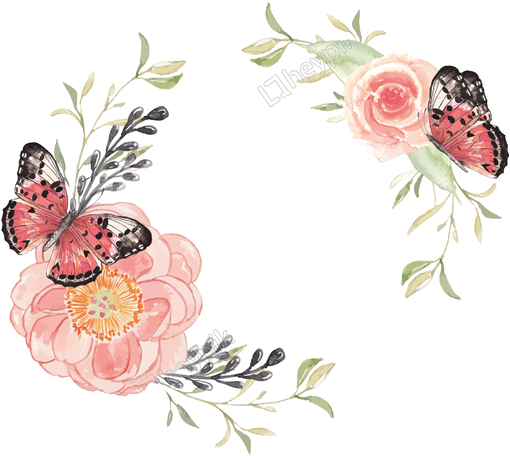 Vector Free Butterfly Free Download Eps Files Clipart (1005x899), Png Download