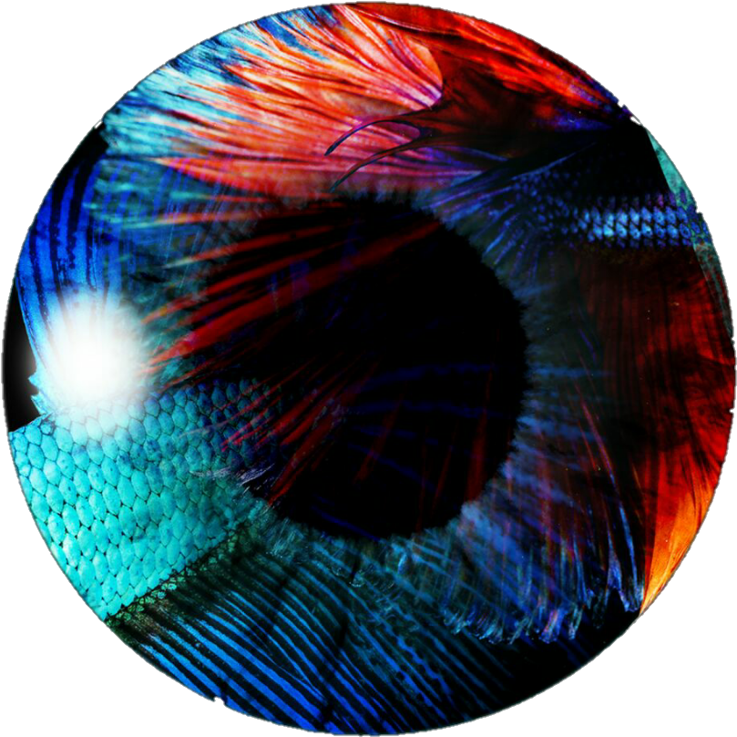 Eye Lens Png - Eyes Picsart Clipart (809x809), Png Download