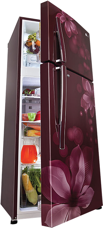 The Refrigerator Market In India Is Growing And Is - Lg Refrigerator Price In Sri Lanka Clipart (600x811), Png Download