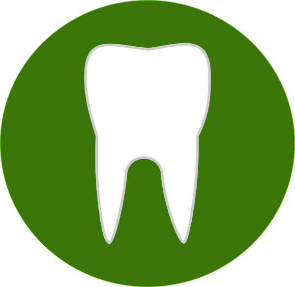 Dental Tooth At Vector Png Image Clipart - Green Location Icon Png Transparent Png (600x584), Png Download