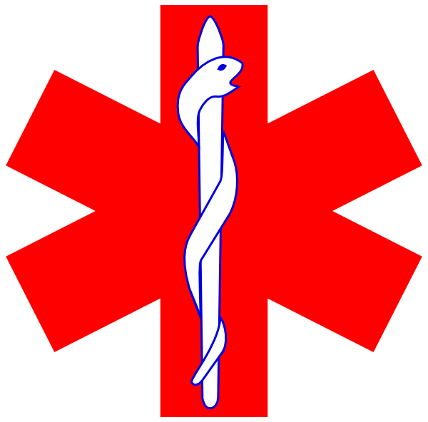 Doctor Symbol Clipart Cross - Paramedic Cross - Png Download (600x592), Png Download