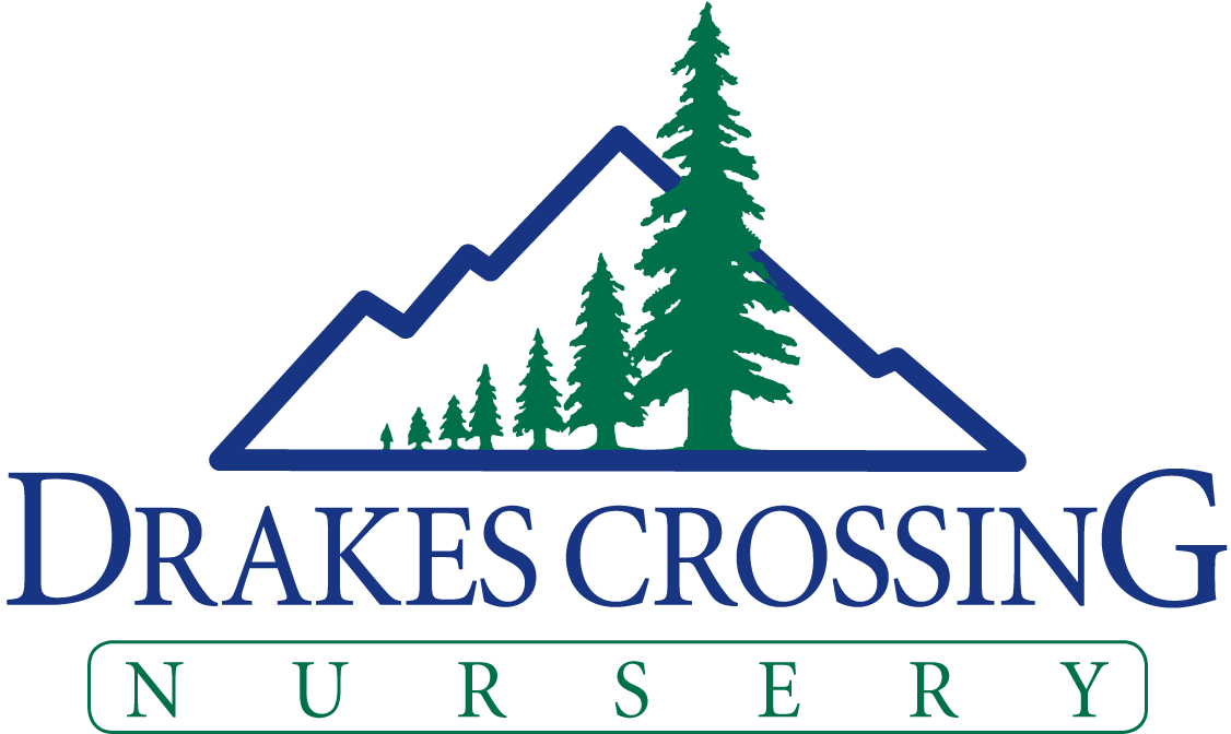 Kansas Crossing Casino Logo Png Clipart (1125x689), Png Download