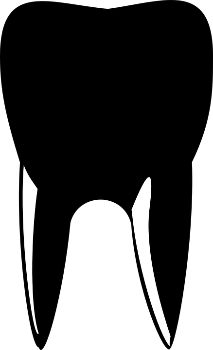 Tooth Clipart Vector Tooth Clipart Vector Tooth Clipart - Black Teeth Clipart - Png Download (438x720), Png Download