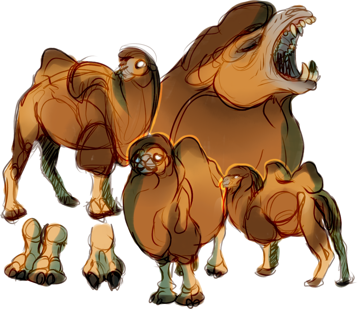 Teeth Clipart Camel - Even Toed Ungulates - Png Download (1491x1284), Png Download