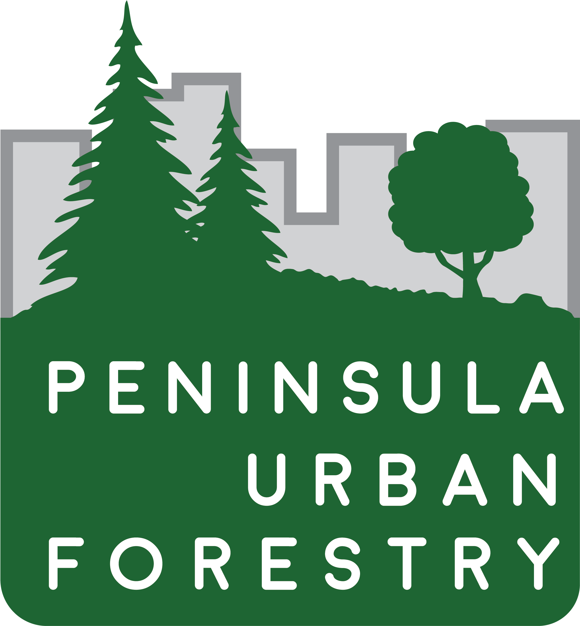 Christmas Tree Clipart (2400x2575), Png Download