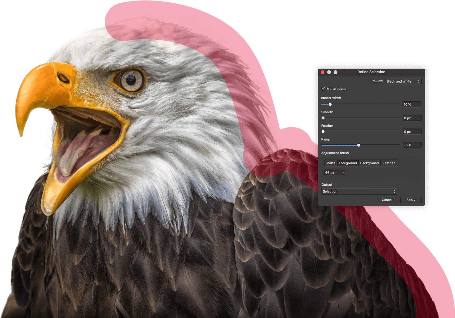 Precise Selections - Bald Eagle Clipart (1760x1377), Png Download
