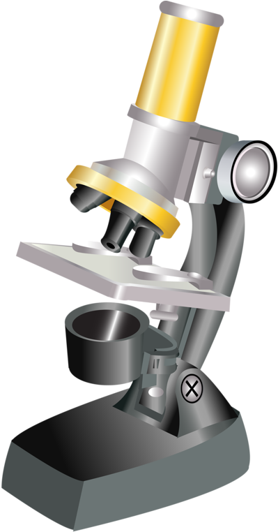 Фотки Science Clipart, House Clipart, Science Art, - Golden Microscope Clipart - Png Download (540x800), Png Download