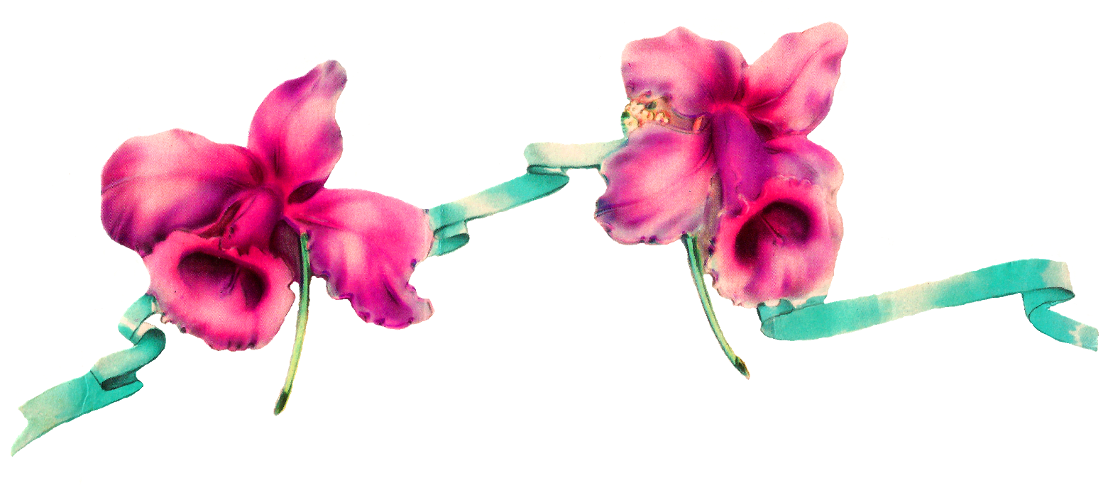 Digital Flower Border Design Clipart (1600x686), Png Download