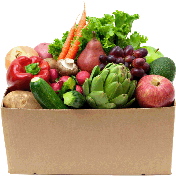 Seasonal Mixed Fruit Clipart (711x675), Png Download