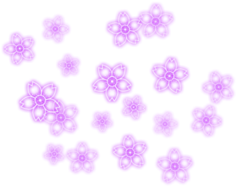 Effects For Photoscape - Flower Effect Png Clipart (700x500), Png Download