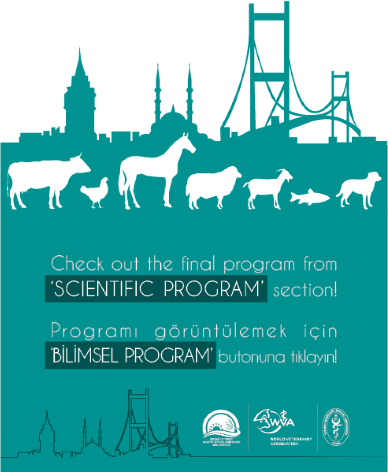 News - Veterinary Congress Clipart (800x984), Png Download