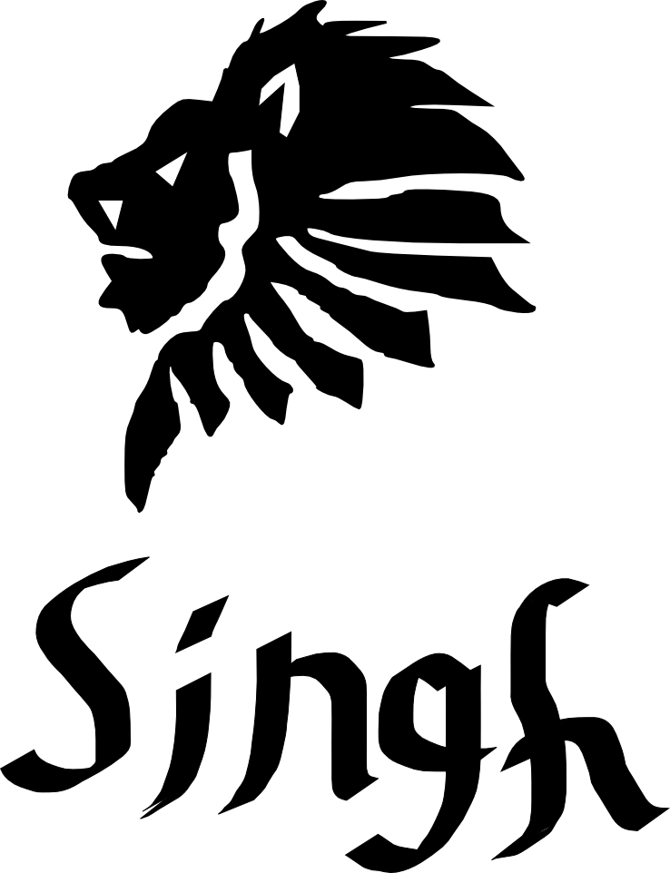 Lion Face Silhouette Png Clipart (738x962), Png Download