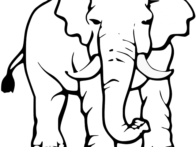 Asian Elephant Clipart India Elephant - Elephant Black And White Drawing - Png Download (640x480), Png Download