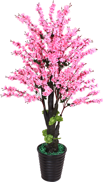 Artificial Flower Type - Peach Blossom Flowers Tree Png Clipart (800x800), Png Download