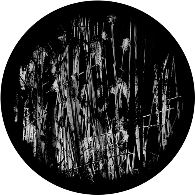 More Views - Chandelier Clipart (800x800), Png Download