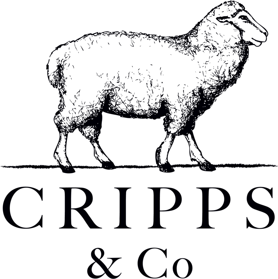 Indian Sheep Png Clipart (1000x1000), Png Download