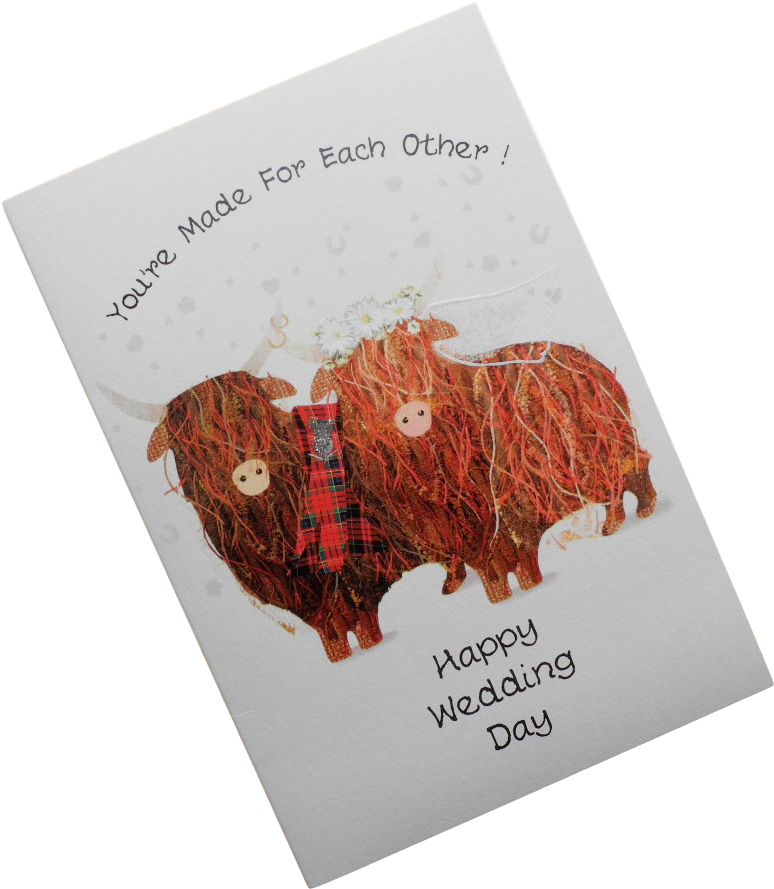 Wedding Highland Cows - Illustration Clipart (1280x960), Png Download