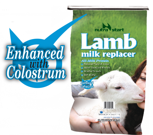 Lamb Milk Replacer Clipart (624x553), Png Download