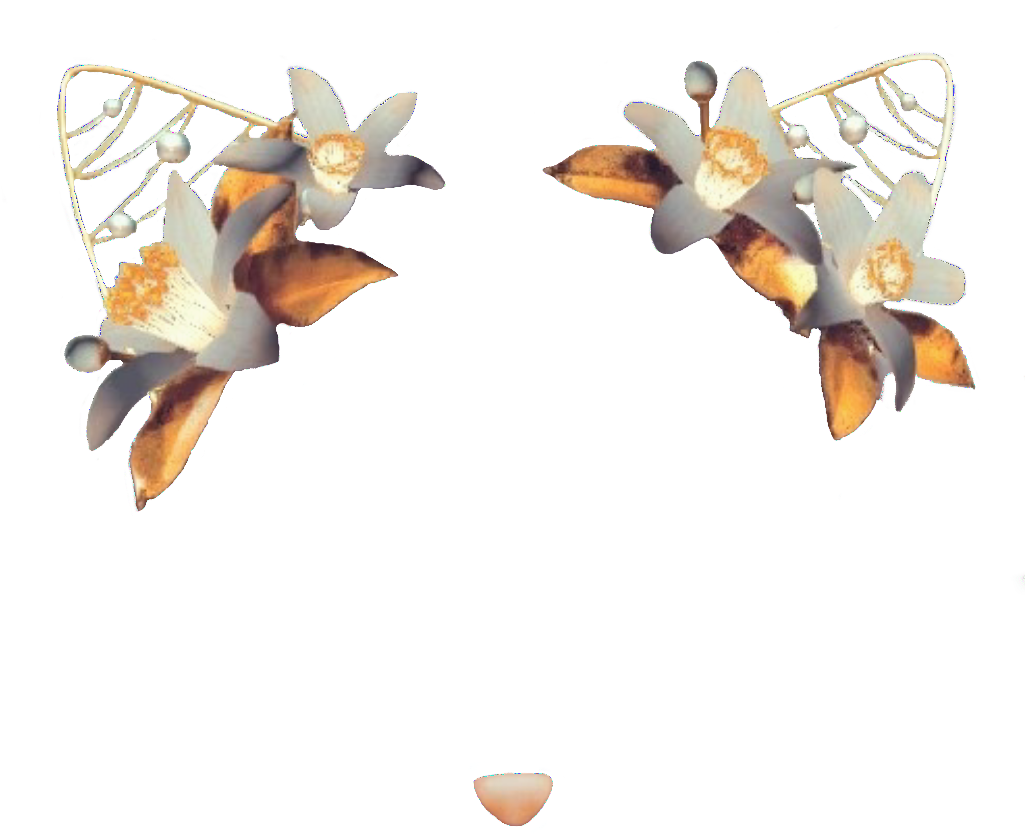 41 Images About Snapchat Filter Png On We Heart It - Snow App Filters Transparent Clipart (1024x885), Png Download