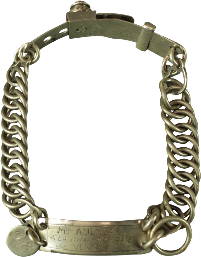 Nickel Dog Collar With Engraved Name Plate - Bracelet Clipart (1024x1121), Png Download