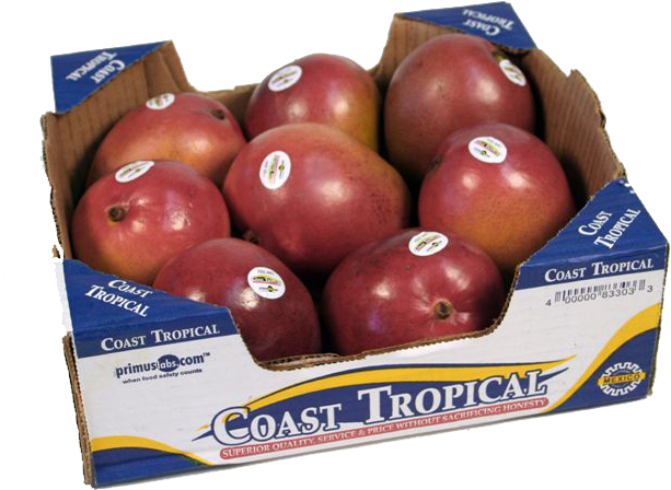 Coast Tropical Clipart (640x515), Png Download