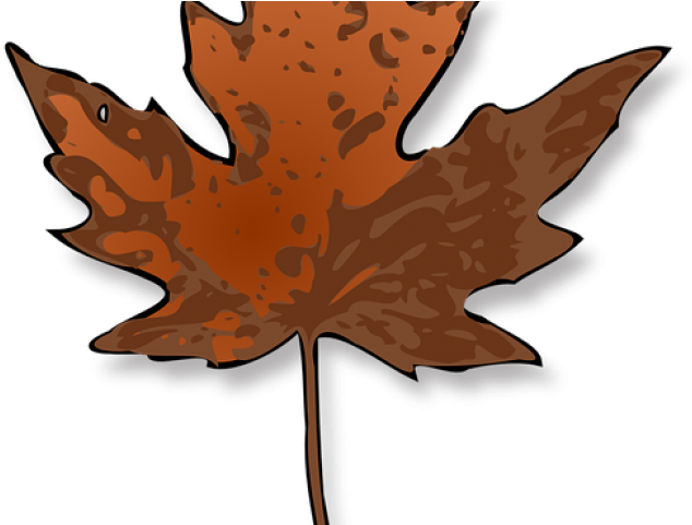 Maple Leaf Clipart Dry Leaf - Maple Leaf Clip Art - Png Download (640x480), Png Download
