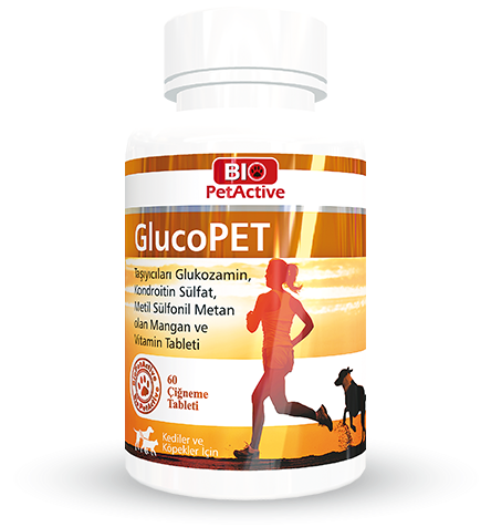 Dog Clipart (700x700), Png Download