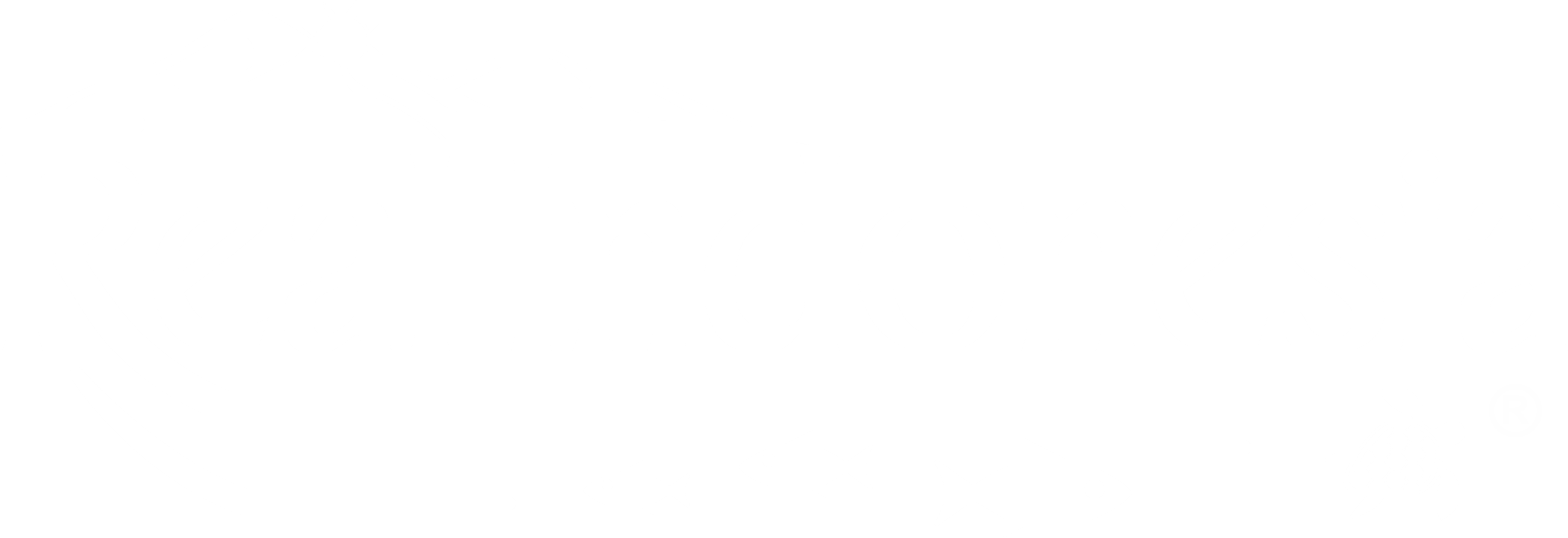 Real Indonesia White Transparent - Illustration Clipart (3666x1258), Png Download