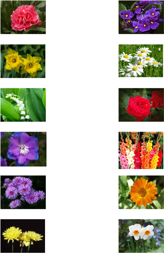 Birth Flower Clipart (800x890), Png Download