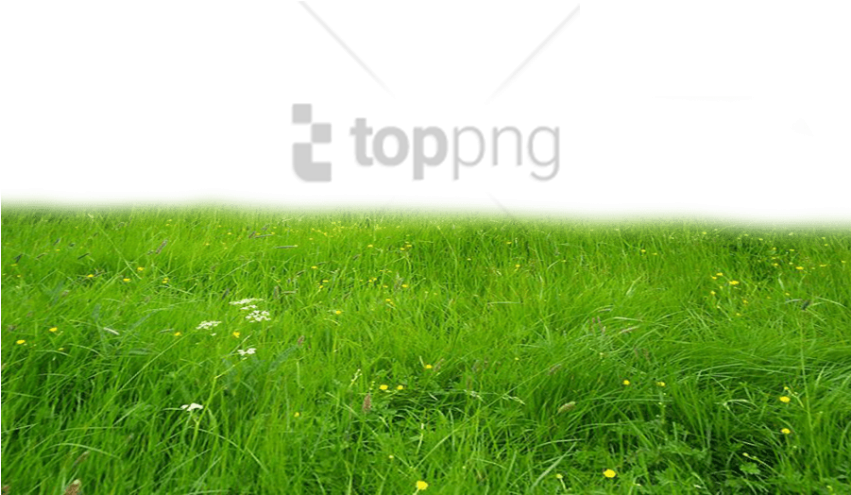 Free Png Download Grass Hd Png Images Background Png - Grass Png Clipart (850x680), Png Download