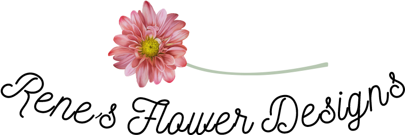 Barberton Daisy Clipart (900x430), Png Download