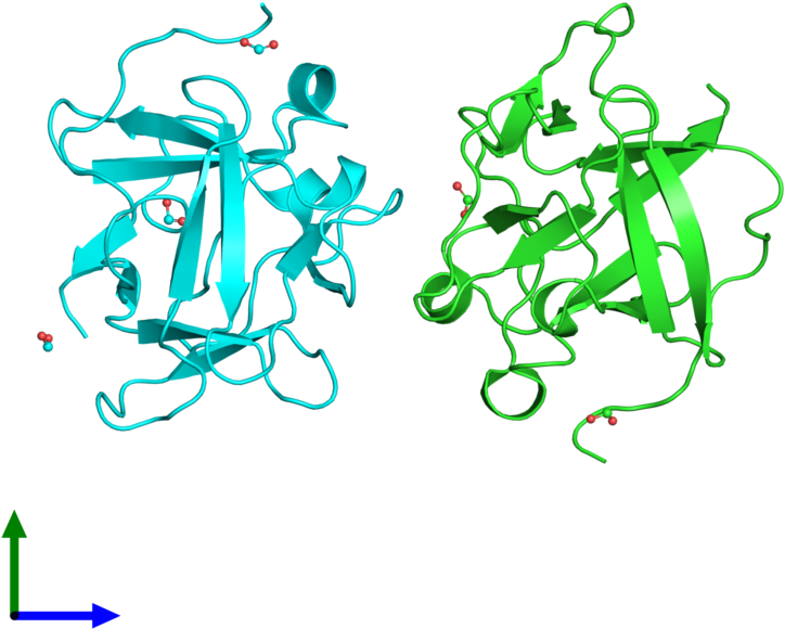 Pdb 3fj9 Coloured By Chain And Viewed From The Front - Illustration Clipart (800x800), Png Download