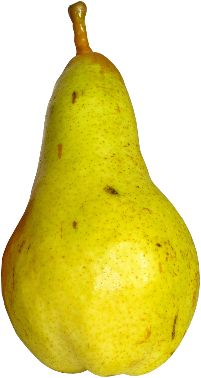 Hruška Png Clipart (775x1280), Png Download