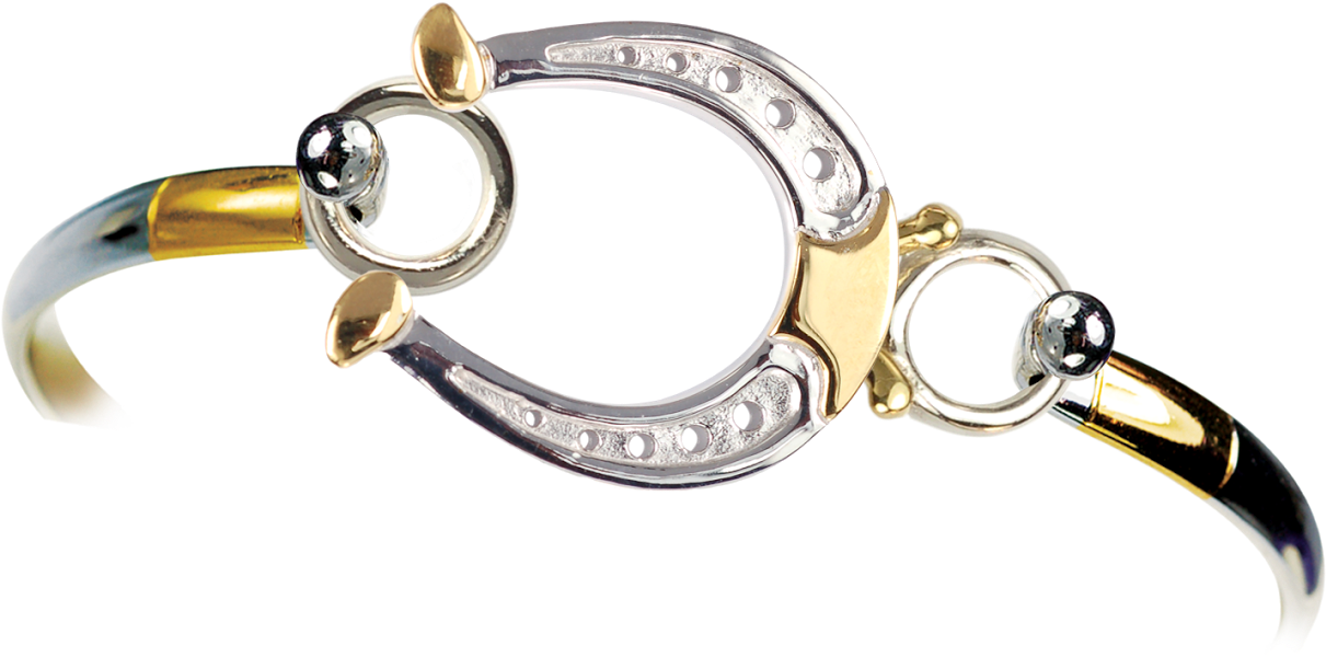 Two-toned Horseshoe Topper And Bracelet - Bracelet Clipart (1300x692), Png Download