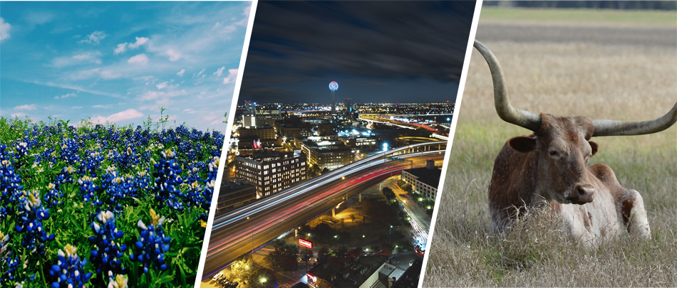 Texas Clipart (950x405), Png Download