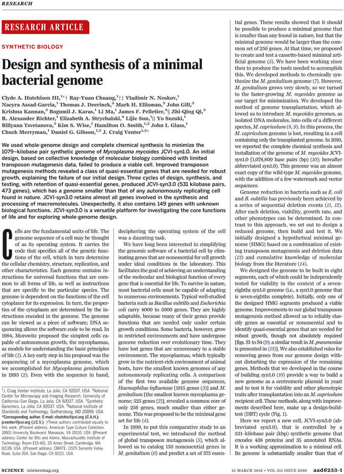 Goose Tower In Vordingborg, Zealand Clipart (765x974), Png Download