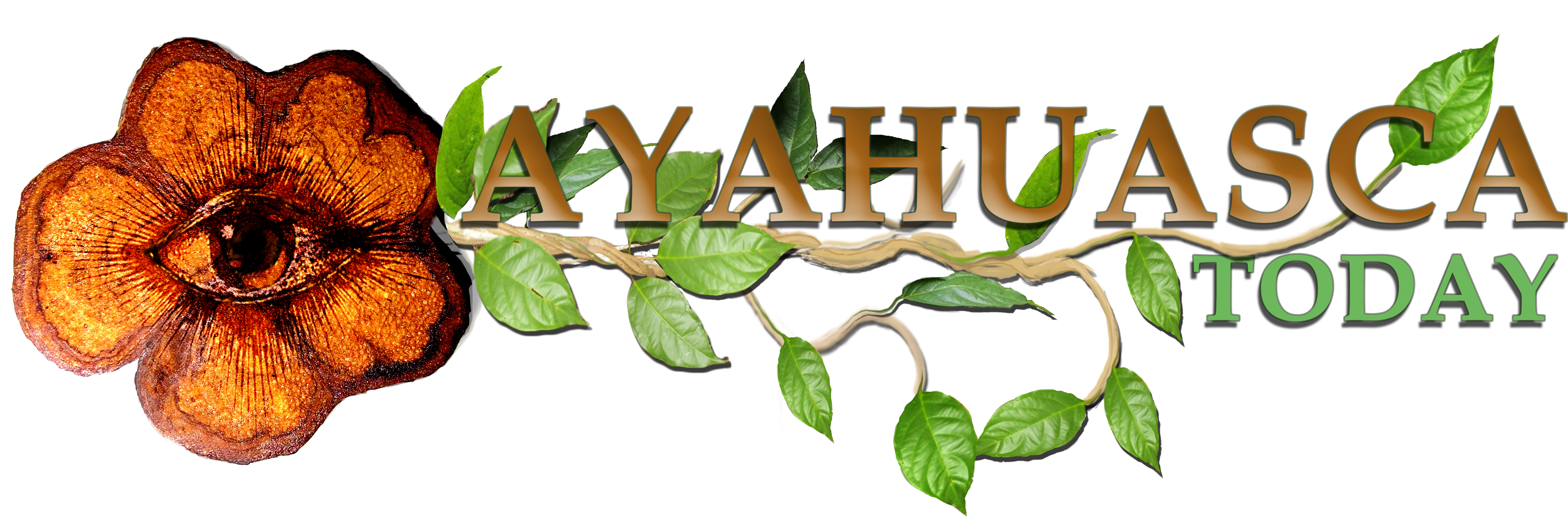 Gourd Clipart (5729x1839), Png Download