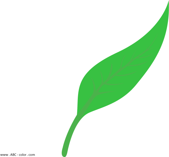 Leaf Shapes Clipart & Leaf Shapes Clip Art Images - Leaf Figure - Png Download (822x567), Png Download