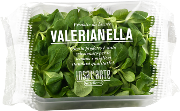 Spinach Clipart (700x700), Png Download