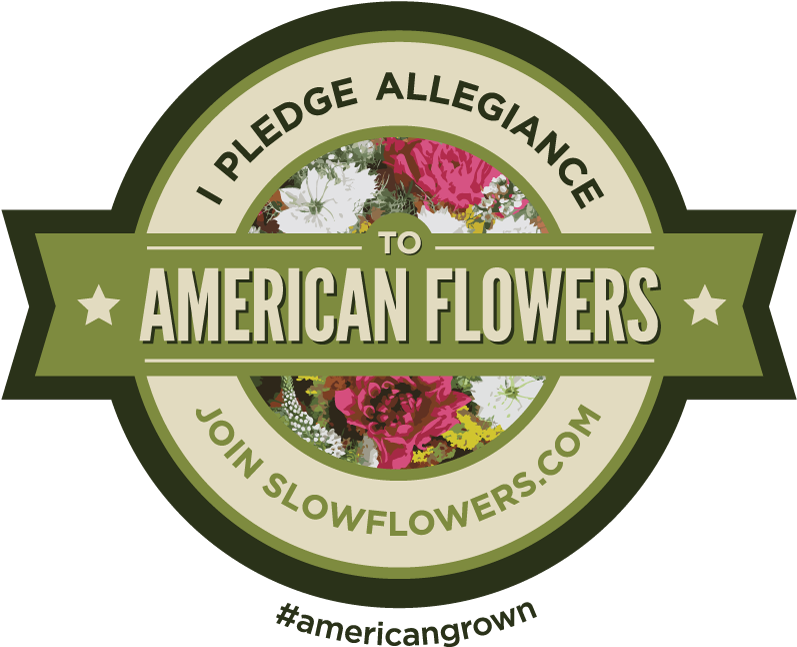Slow Flowers - Five Star Movement Clipart (800x657), Png Download