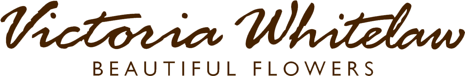 Victoria Whitelaw Logo - Calligraphy Clipart (1490x310), Png Download