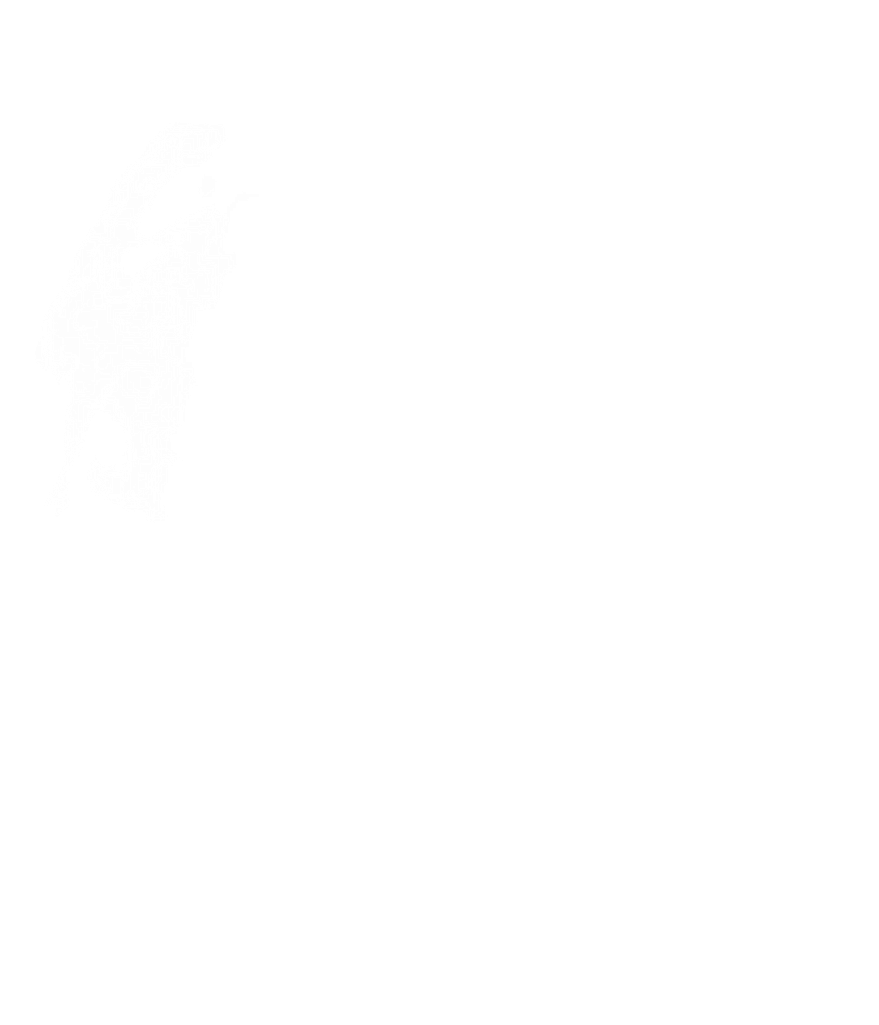 #humo #blanco - Darkness Clipart (1024x1024), Png Download