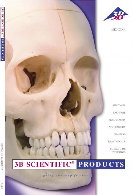 Humo Blanco Cigarrillo Cráneo Png Humo Blanco Cigarrillo - 3b Scientific Clipart (1200x630), Png Download