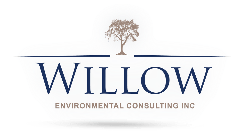 Willow Environmental Consulting - Wild Blue Clipart (923x495), Png Download